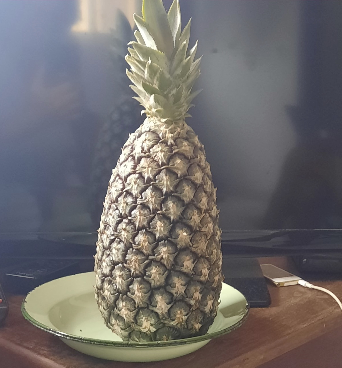 Day 105. Tuesday, 4th April, 2023. Coco Beach Hotel, Lome. A Kiwi and a Pom